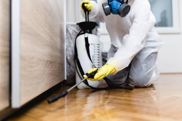 Best Wasp Removal Services  in Machesney Park, IL