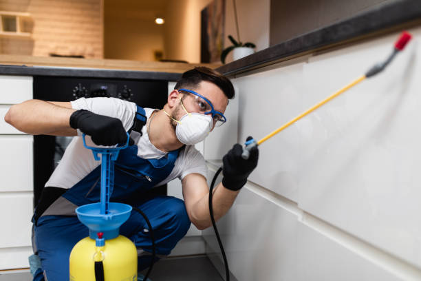 Best Pest Control Near Me  in Machesney Park, IL