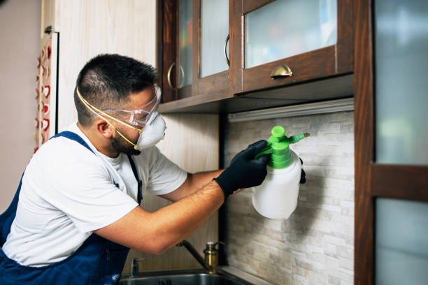 Best Ant Control Services  in Machesney Park, IL