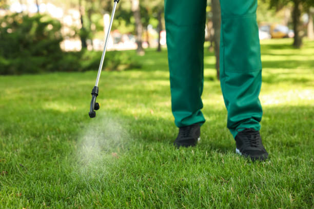 Best Pest Removal Services  in Machesney Park, IL