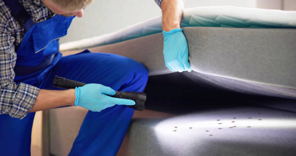 Best Affordable Pest Control Services  in Machesney Park, IL