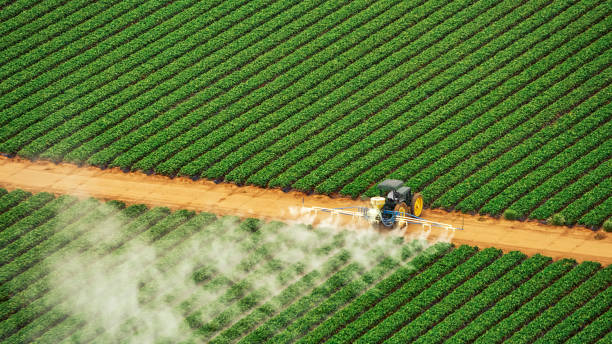 Best Commercial Pest Control Services  in Machesney Park, IL